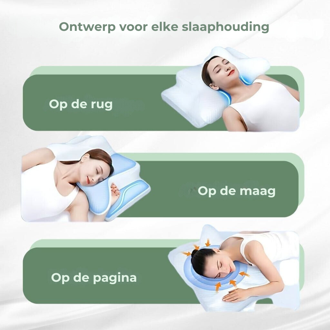 DreamAlign Oreiller Orthopédique Contour - Soutien Cou et Épaules