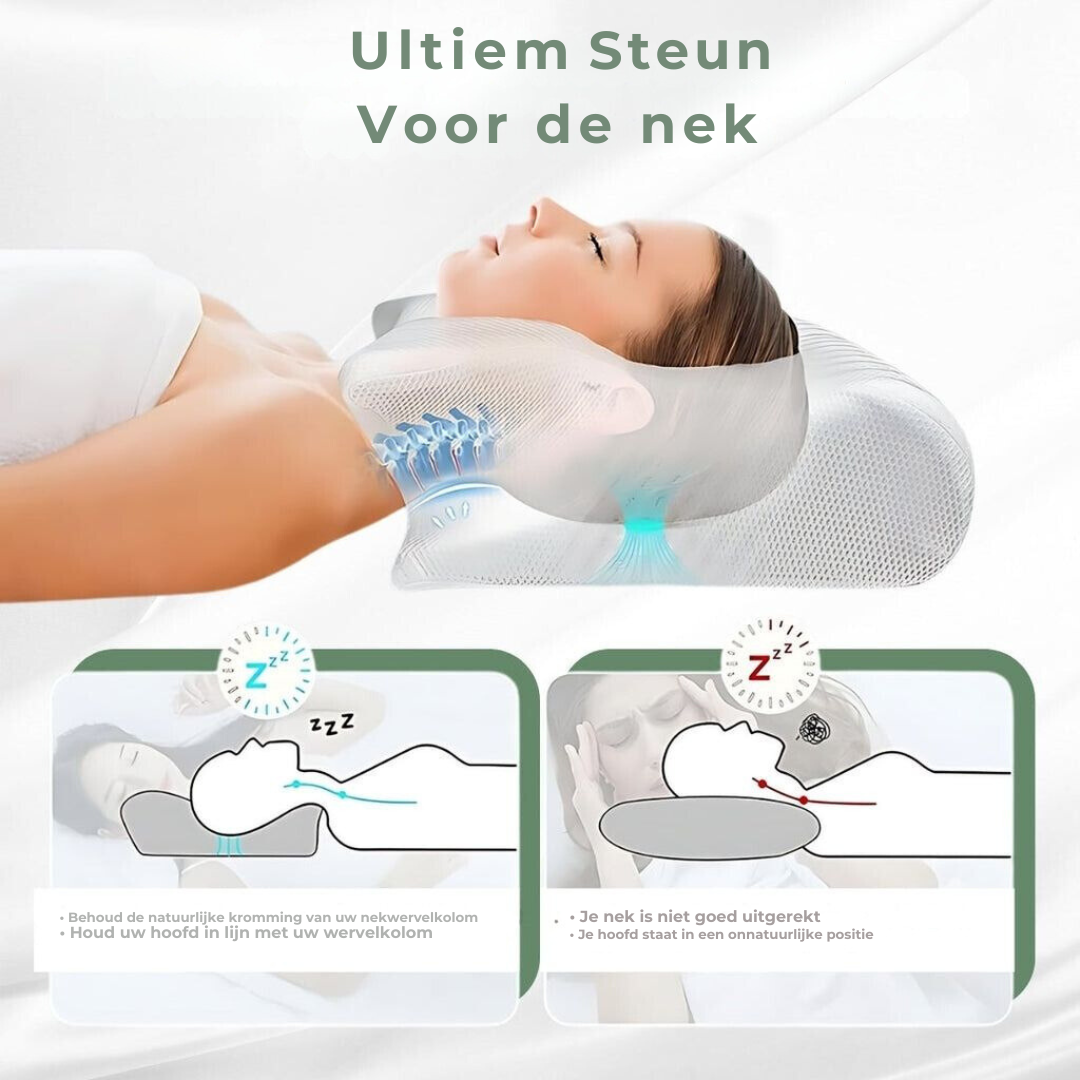 DreamAlign Oreiller Orthopédique Contour - Soutien Cou et Épaules