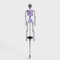 Piquet de Jardin Squelette Solaire Lumineux - Décor LED Halloween Extérieur