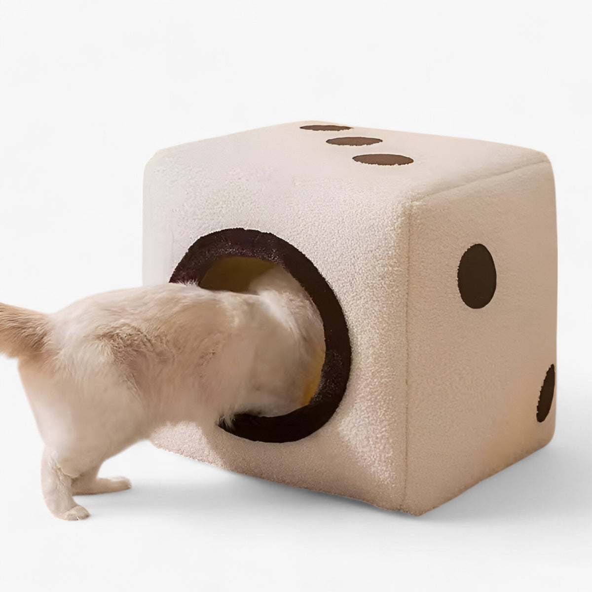 Casa per Gatti a Doppia Faccia - Nido Caldo, Morbido e Pieghevole Uomo - - caldo casa casa gatti doppia faccia gatti nido pets & supplies - Concept Palermo
