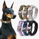 Ensemble Collier Tactique Durable pour Chien